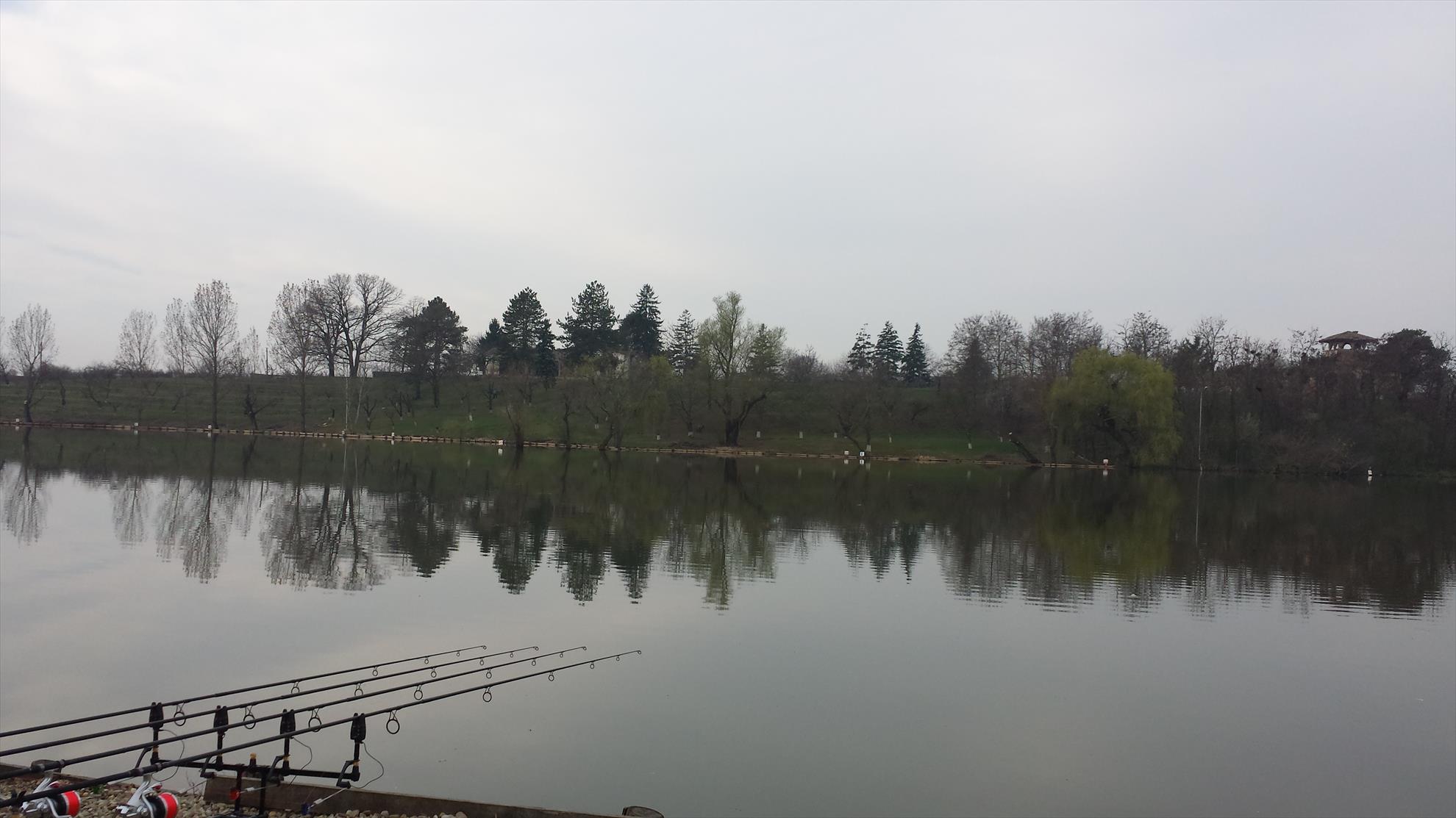 Hermes Peris 19 martie 2016 - camera-p.jpg